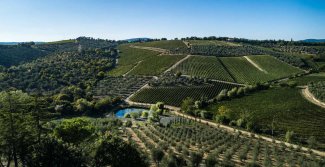 WINE DINE & SHINE - Degustazione Castello di Ama ( Toscana )